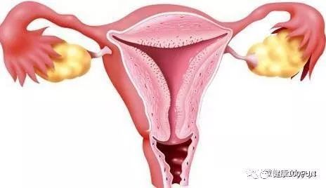 女人那个地方痒是怎么了,女性哪里痒