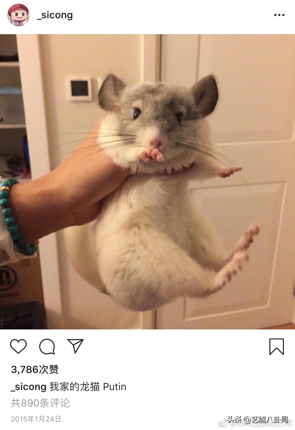 王思聪多少钱买的鸭子,王思聪买的什么鸭