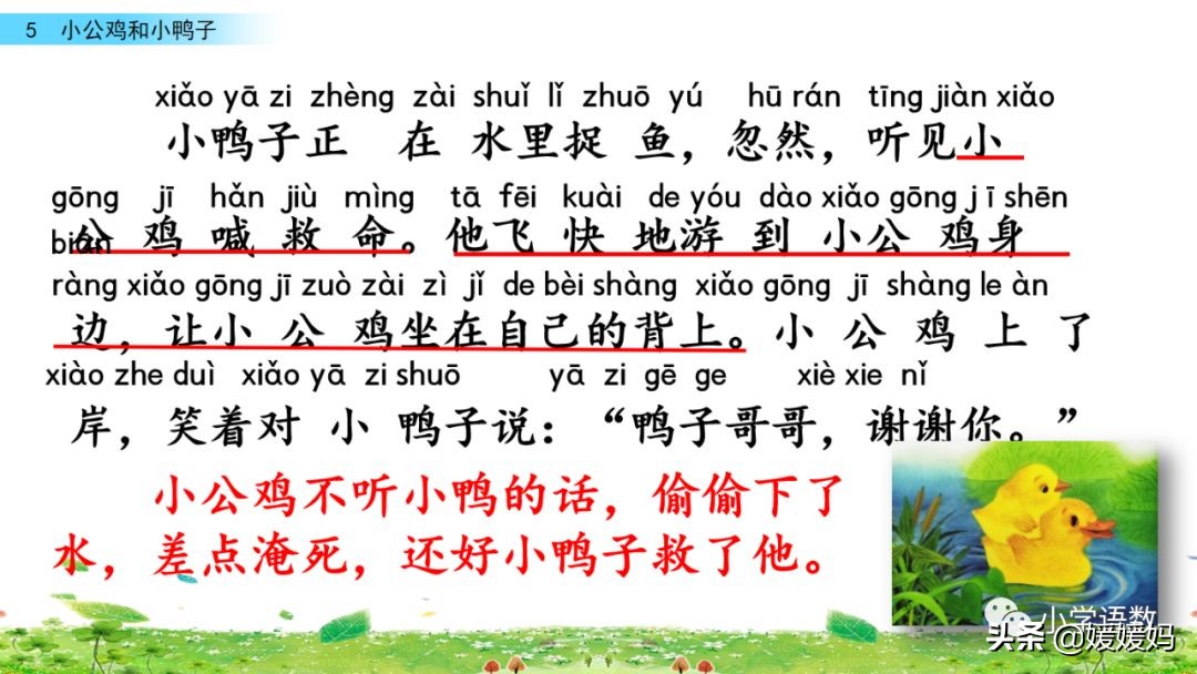 一年级小公鸡和小鸭子仿写句子,一年级小公鸡和小鸭子的看图写话