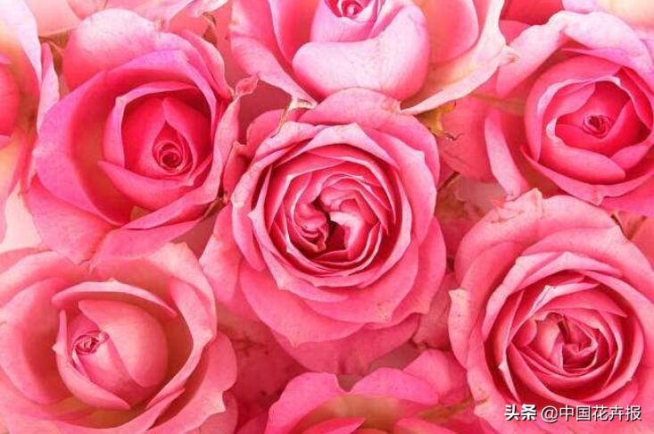 电商行业的水到底有多深 (电商行业的风向变了)