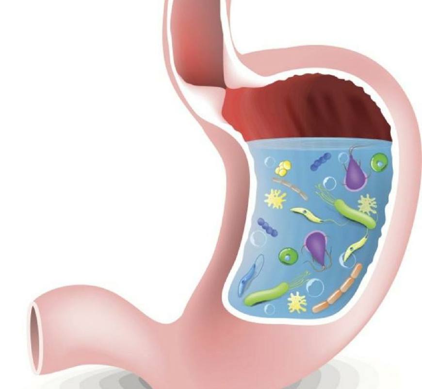 甲硝唑片剂的作用与用途,甲硝唑输液的作用与用途