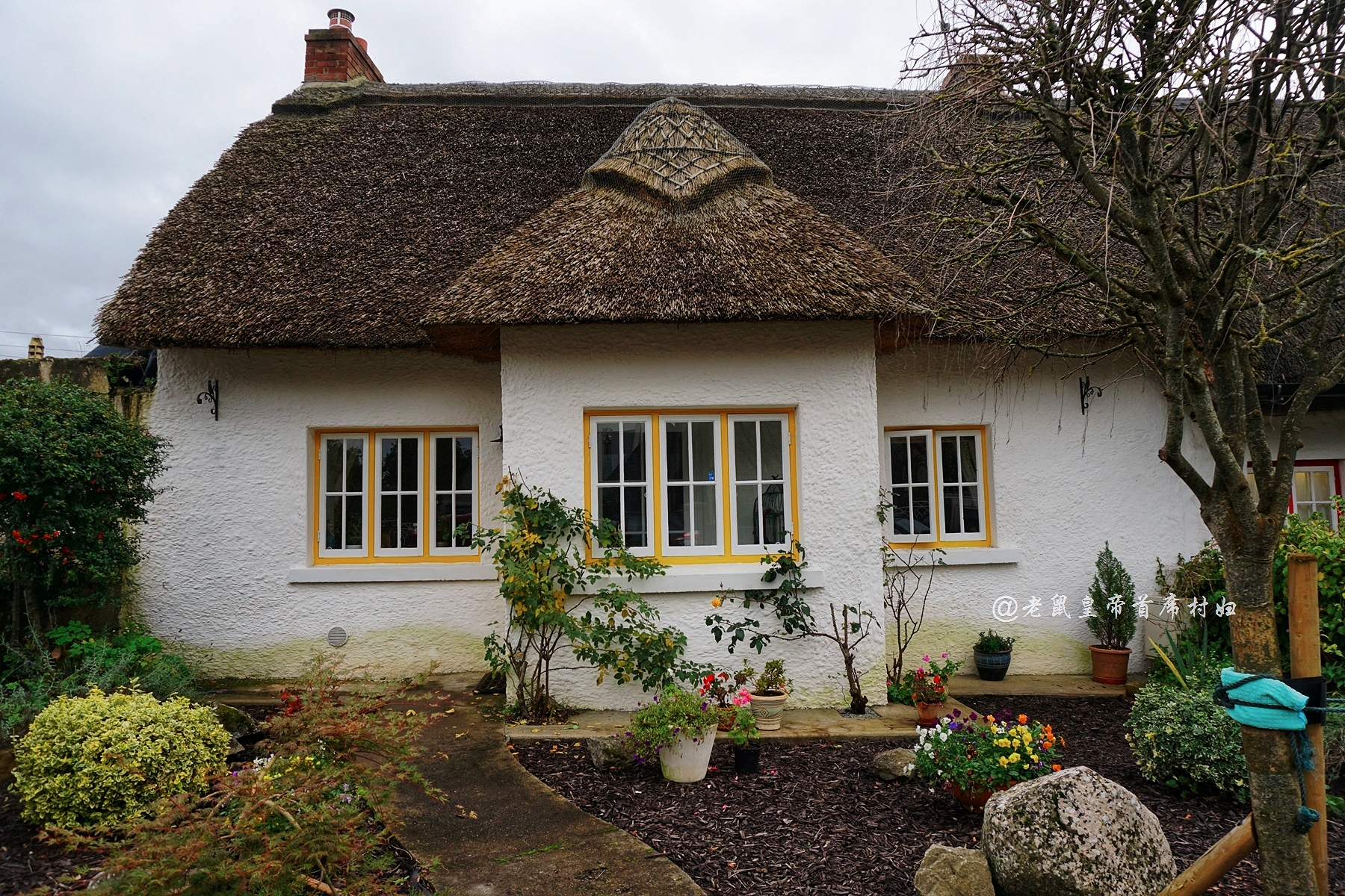 爱尔兰为什么那么多人向往,爱尔兰阿黛尔小镇