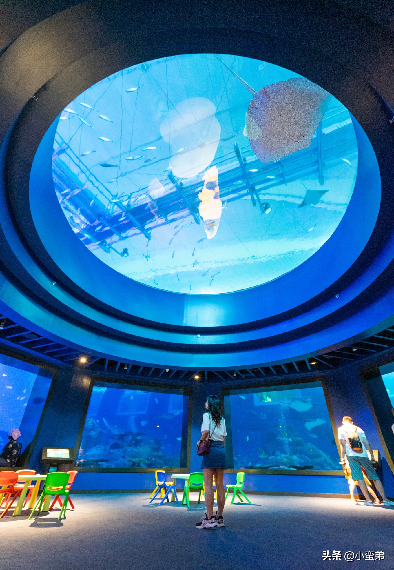 5年之许，小白逆袭重返新加坡