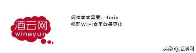 一瓶真正的自然酒的诞生丨Zorzal酒庄专访