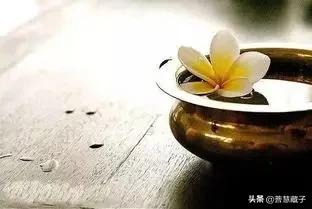 一花一世界一叶一菩提,一花一世界一叶一菩提的歌