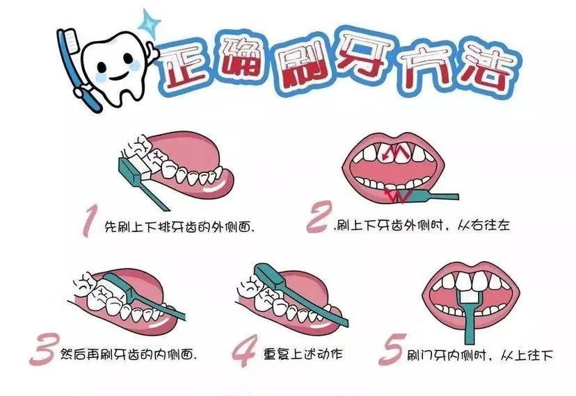 牙缝里黄黄的很硬,牙缝里黄黄臭臭的东西是什么