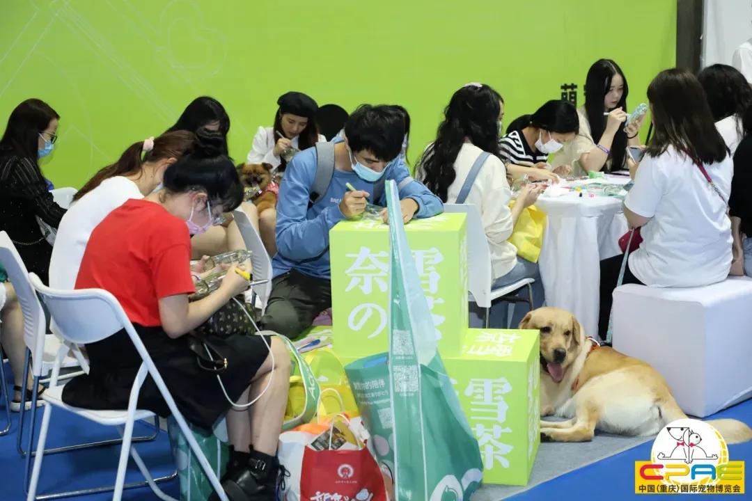 第二届天一重庆国际宠博会,宠博会重庆2020