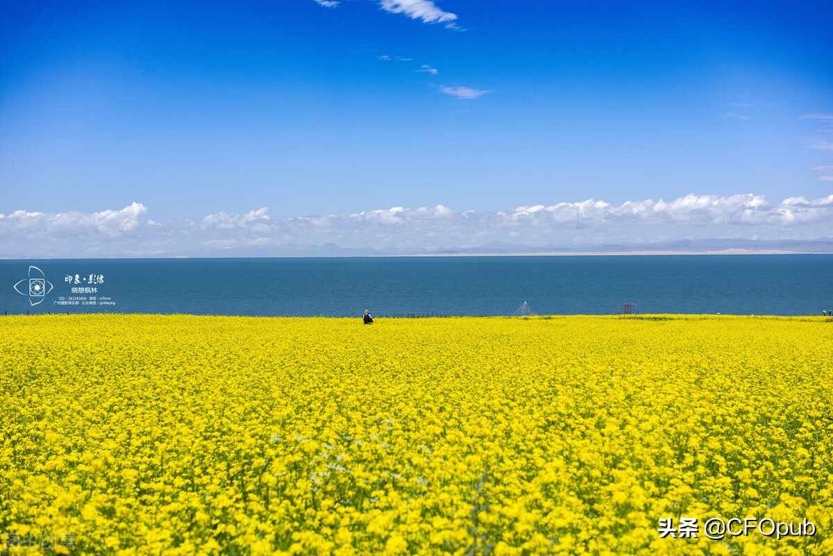 税率和应纳税额怎么算,房产税应纳税额计算公式