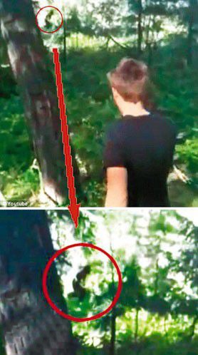 圣女为何无故流泪？神秘女子为何频频放电？闪电也能给人纹身？