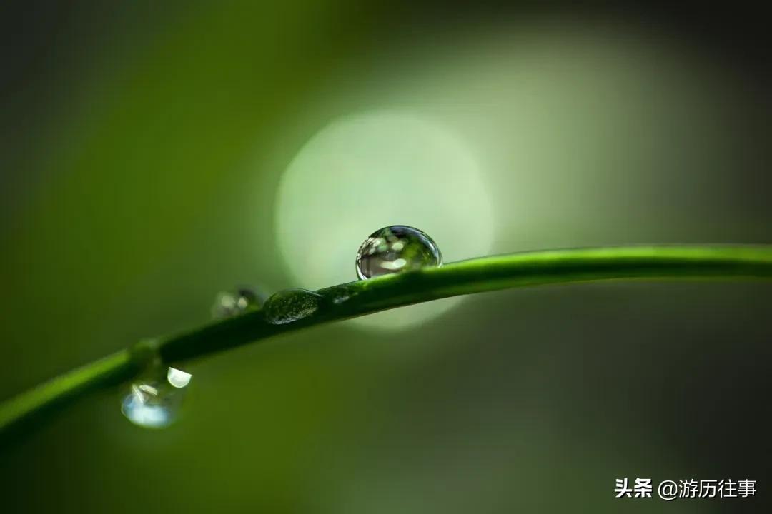 形容心碎的五言绝句,美到心碎的五言绝句李白