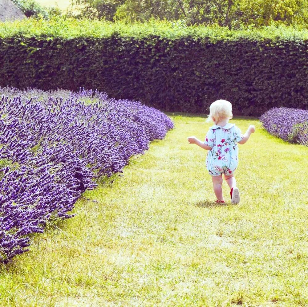 恬静乡村，摇滚乐调，古城烟雨……这里有你不知道的多面英伦