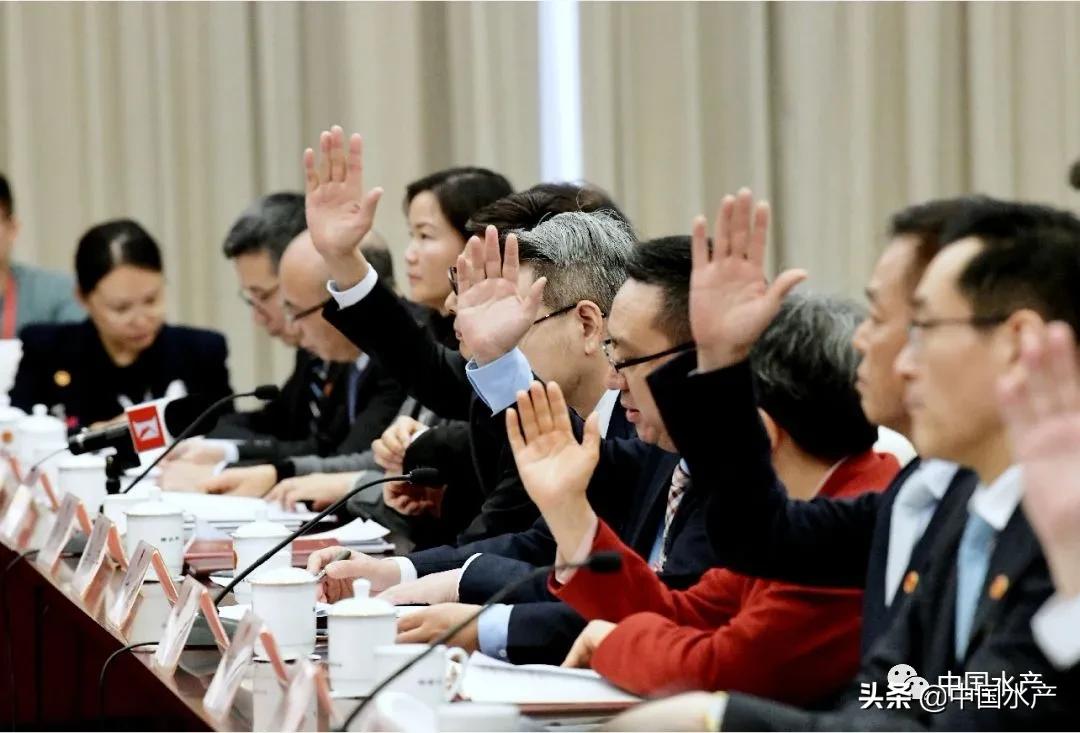 涉外法治人才培育方面,涉外法治人才培养工作方案