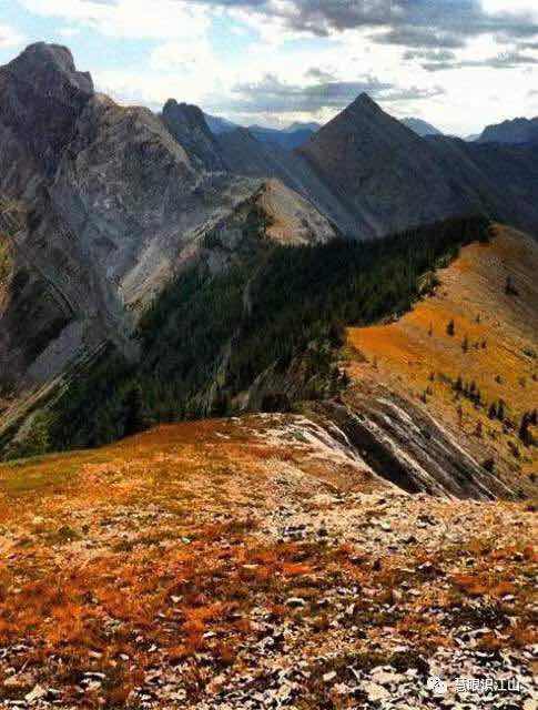 黄金镇过夜缅怀华工历史贡献