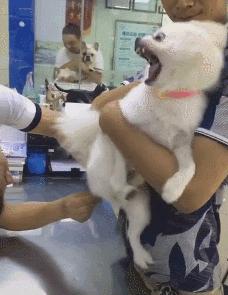 为什么测温枪测的温度特别准确,测温枪与测温仪哪个准确