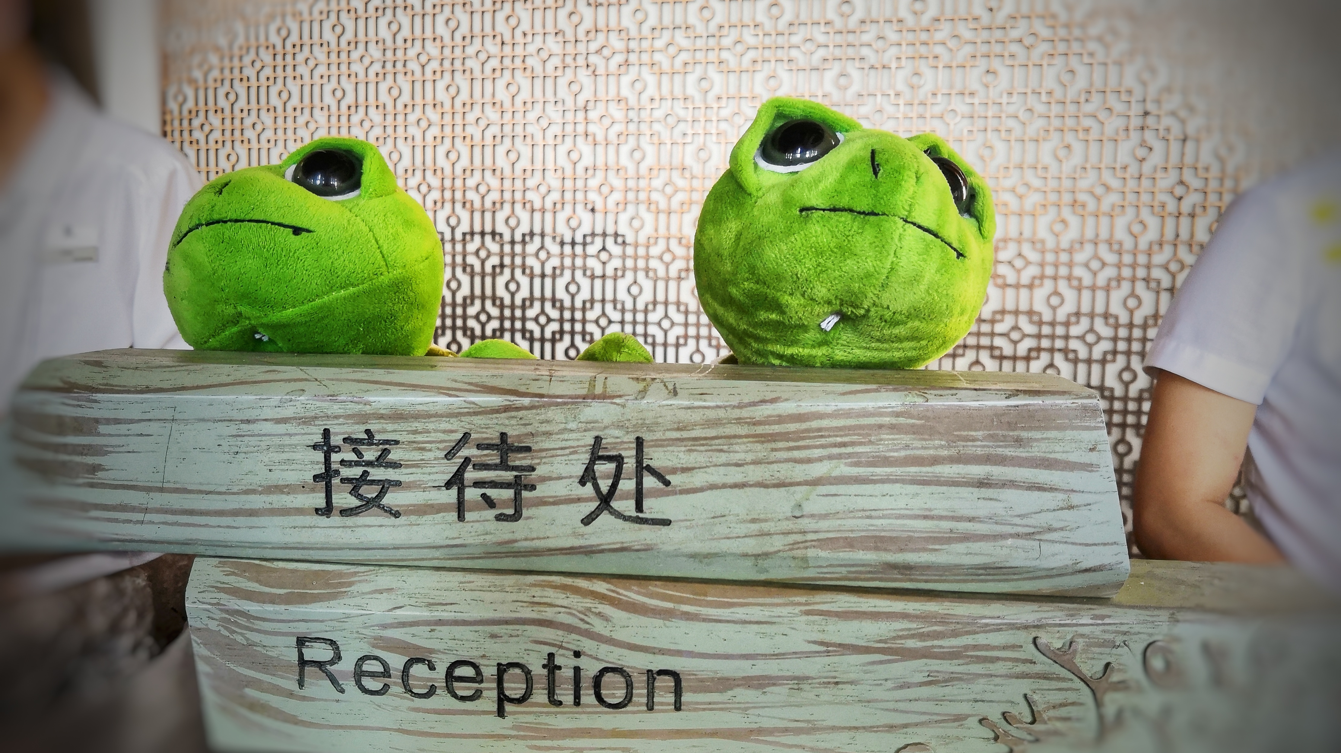 都是网红惹的祸，三亚万丽为何被称为最适合父母和宝宝住的酒店？