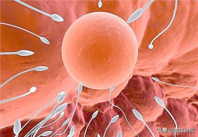 一对龙凤胎2个爹，亲妈短时间和不同爹同房