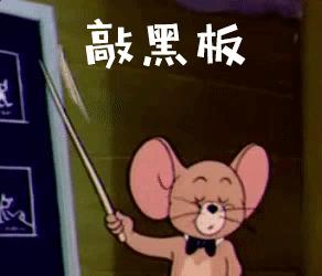 流浪猫喂什么牌子的猫粮,笑宠猫粮这个牌子怎么样