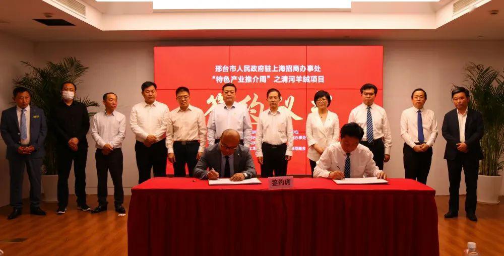 清河羊绒上海签约 (清河羊绒产业园)