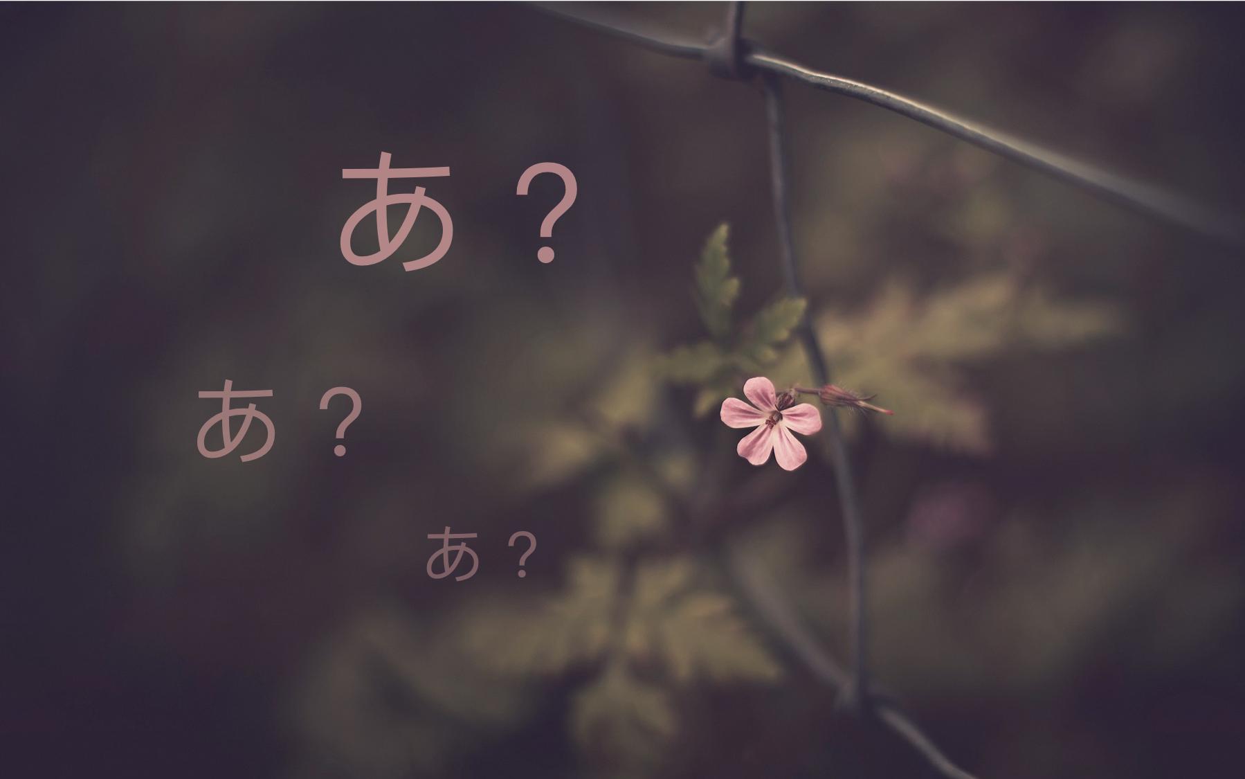 鍗冧竾涓嶈瀵规棩鏈汉璇寸殑鏃ヨ,涓嶈瀵规棩鏈汉璇寸殑淇勮