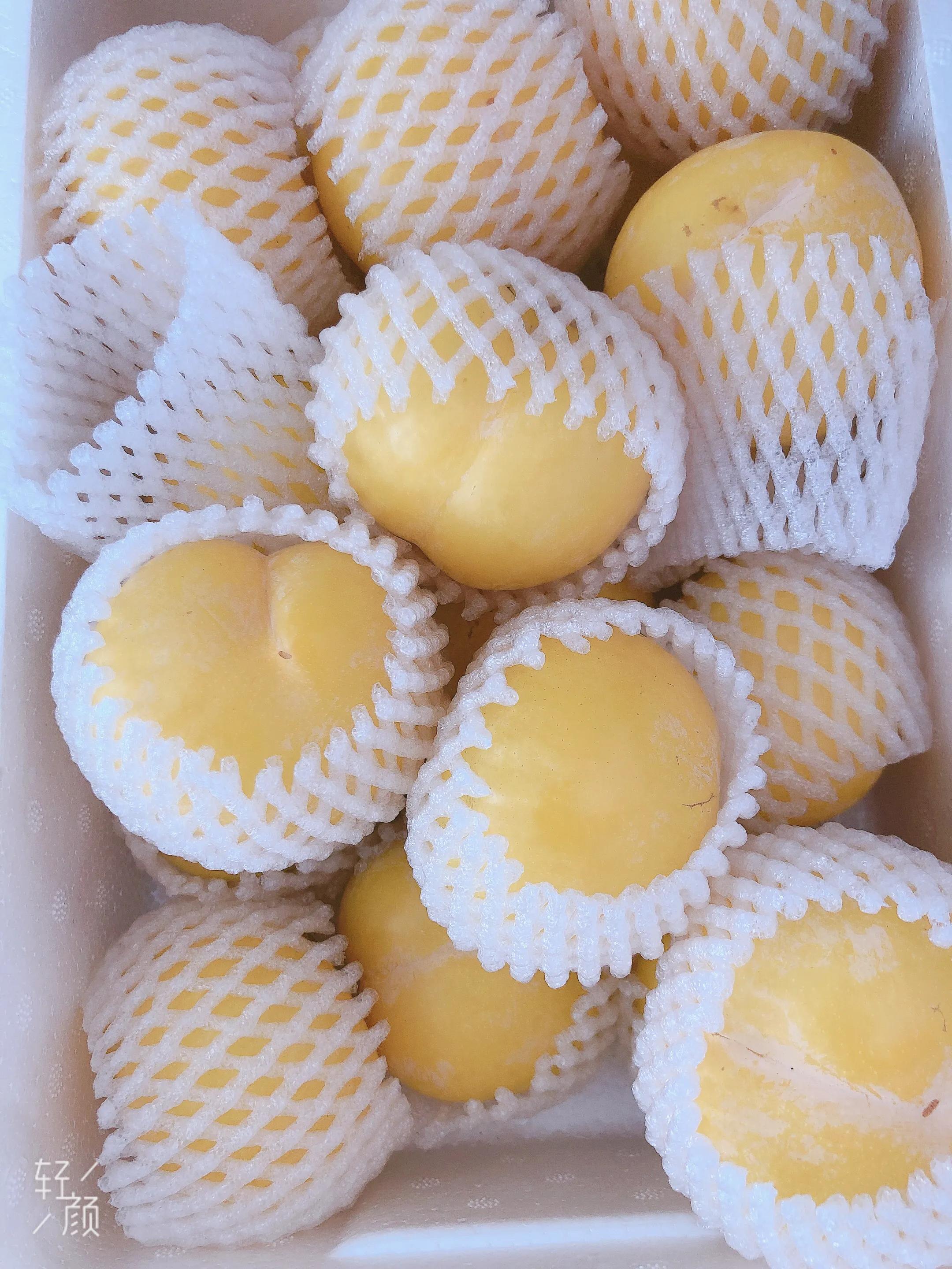 采蘑菇的小姑娘歌曲原唱,采蘑菇的小姑娘的歌词