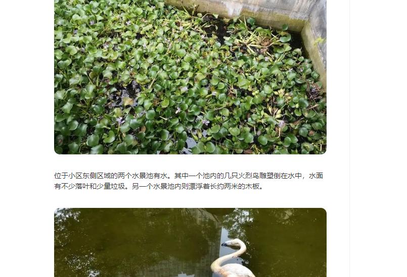 佳兆业最新理财问题处理,佳兆业理财风险