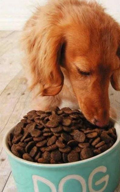 letsgo带你去兜风,letsgo旅行视频