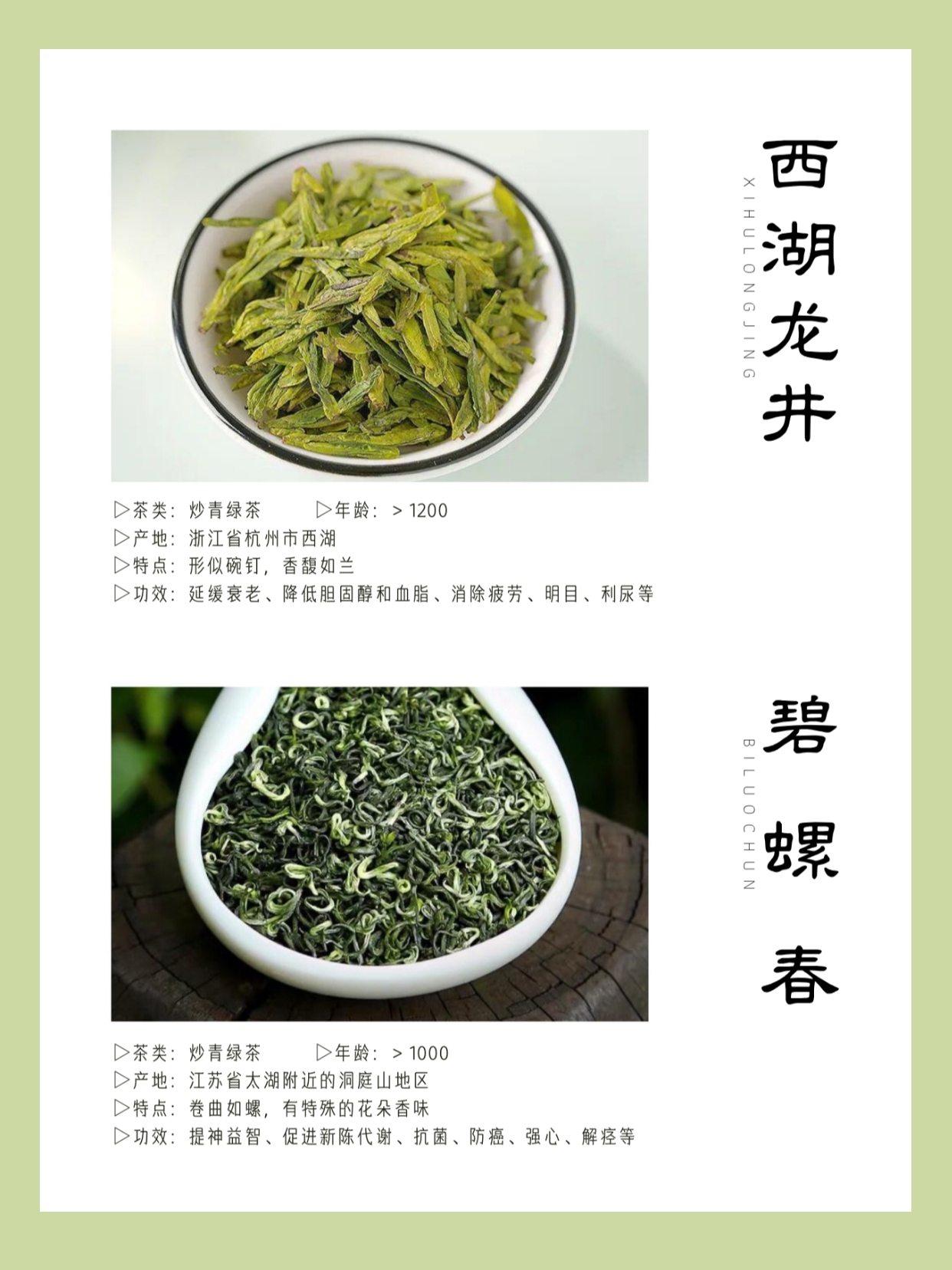 顶级白茶照片中国十大名茶,中国十大名茶中哪些是绿茶