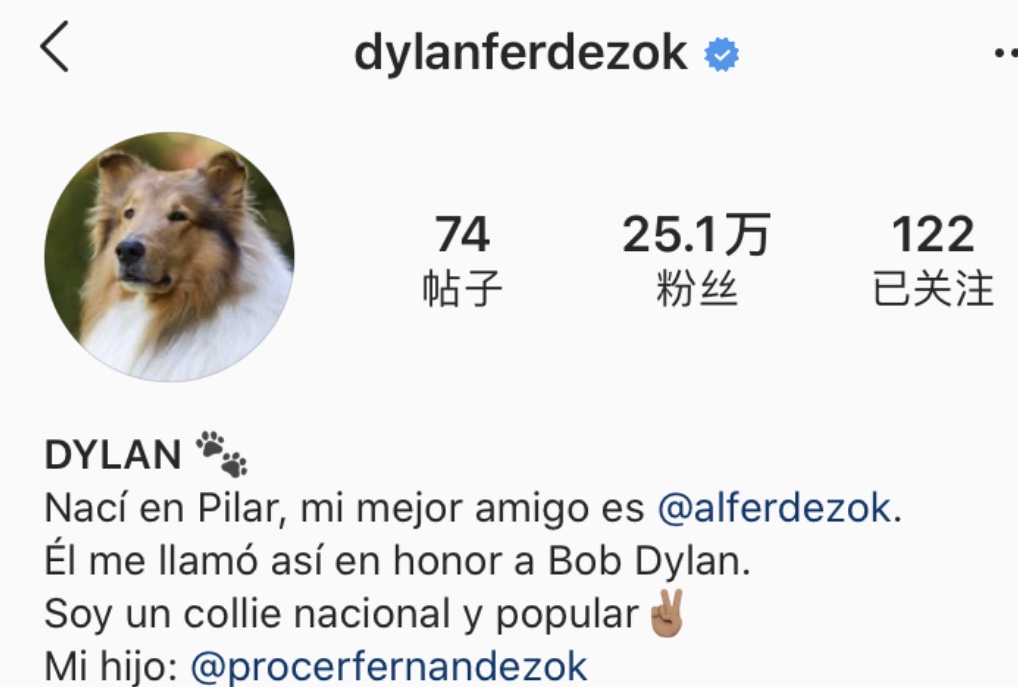 当英国的狗碰上阿根廷总统，宠爱到了极点！有谁还记得英阿世仇？