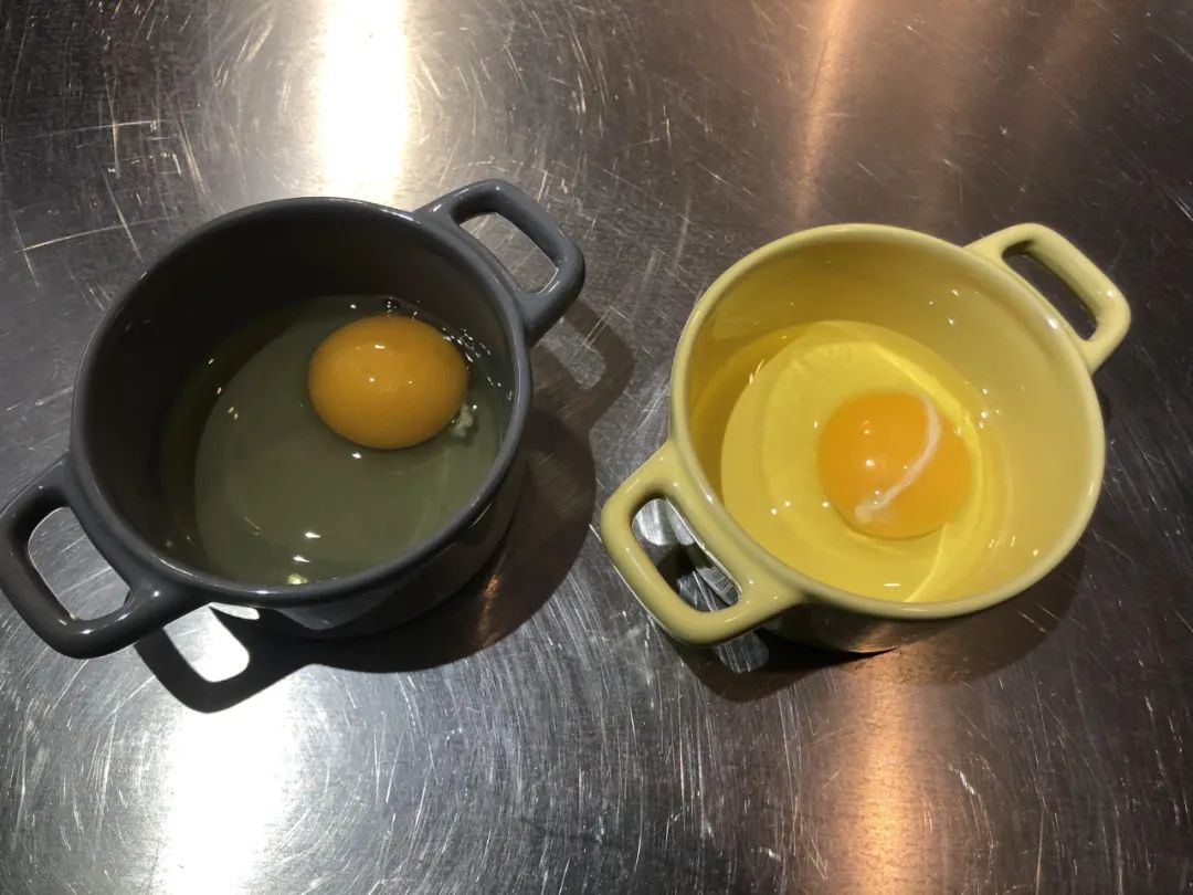 真正好用的蒸汽烤箱,最新款蒸汽烤箱