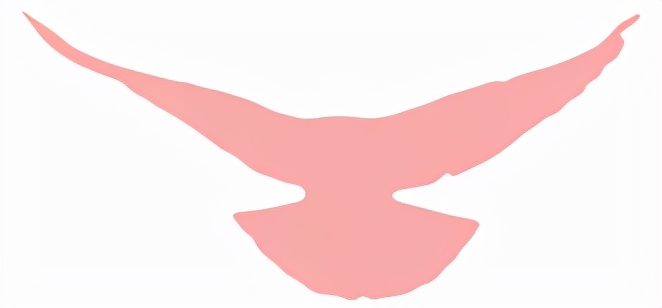 理论中心组进行集体学习,理论学习中心组集体学习计划