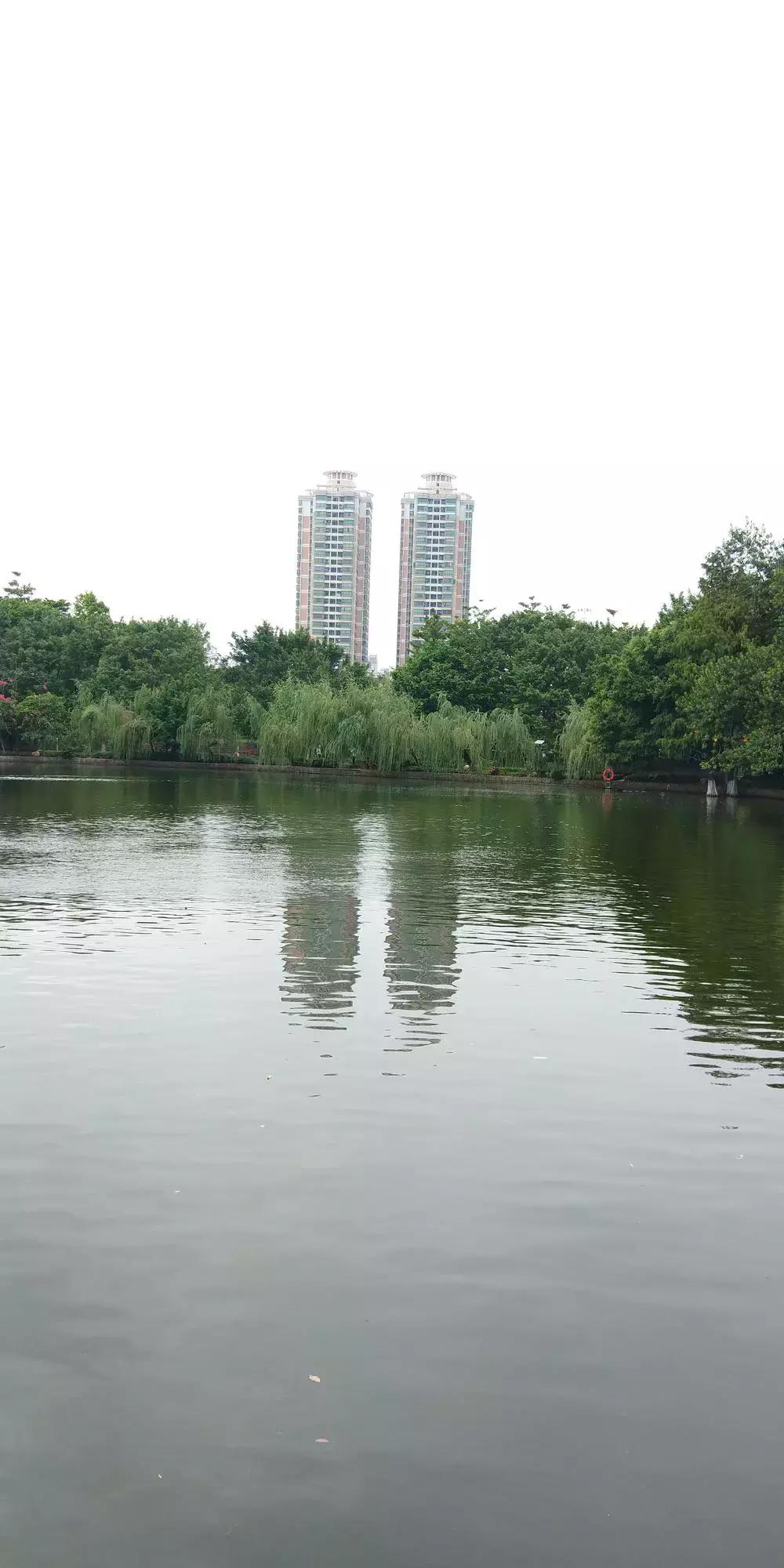 春节摄影全攻略,摄影点评深度讲解