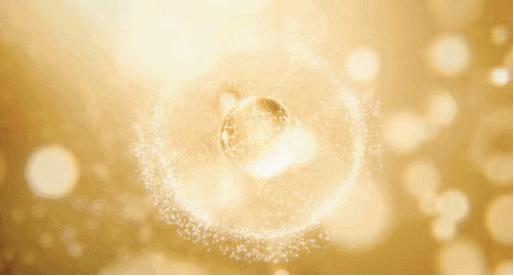 杨颖黄晓明发型,杨颖的头发换过几次