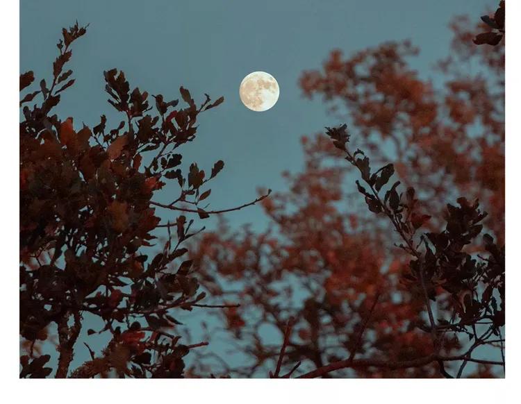 如何平复焦虑的心态,放下焦虑的最好方法就是开始学习