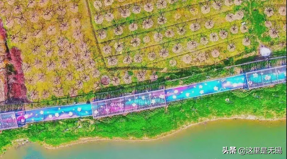 无锡网红打卡地太湖明珠大堤,无锡网红打卡地江尖公园