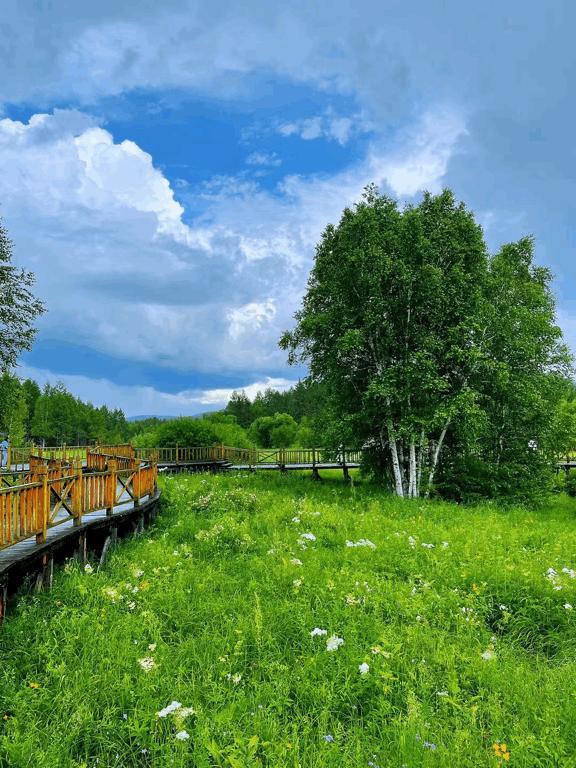 暑假带孩子内蒙古旅游攻略,暑期内蒙古亲子游鄂尔多斯