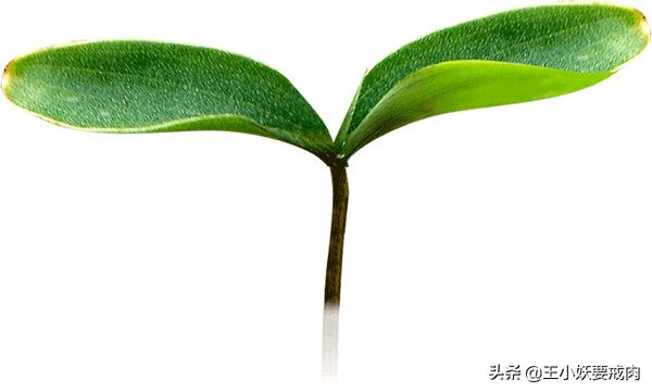 春节期间怎么缓解焦虑,过年期间怎么缓解焦虑