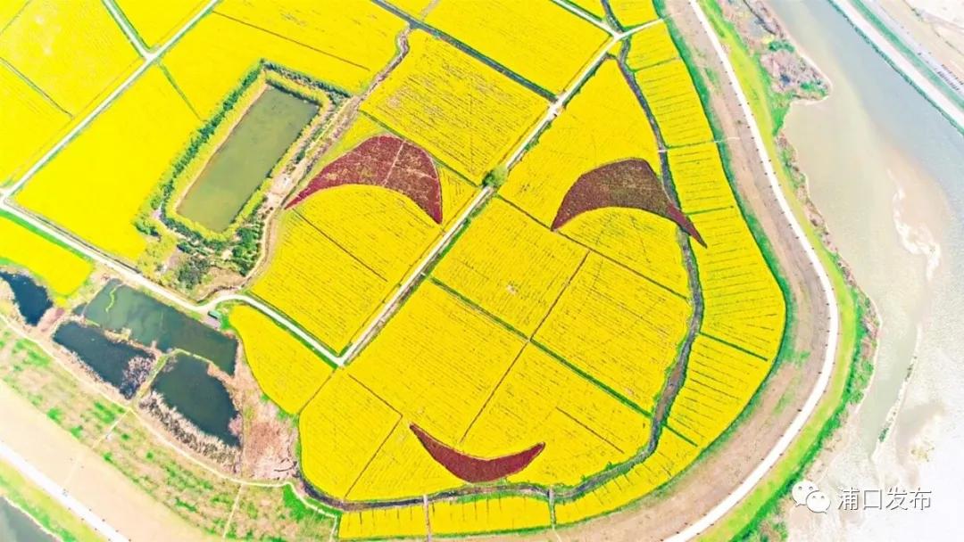 浦口花,南京看花的地方浦口