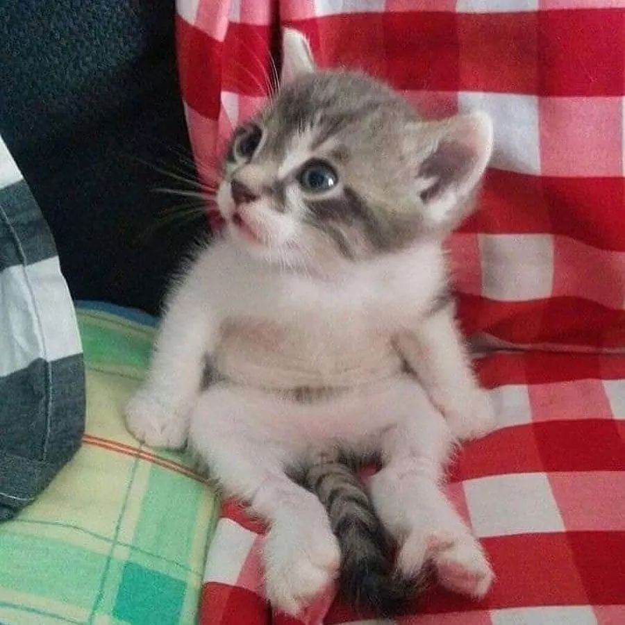 准妈妈的日常护理准则,准妈妈注意事项大全