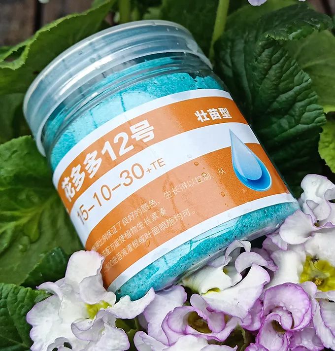 刚栽培的小苗怎样养护,小苗养护注意事项图解