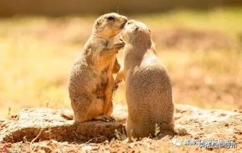 五月份去黄花沟好玩吗,五一黄花沟值得去吗