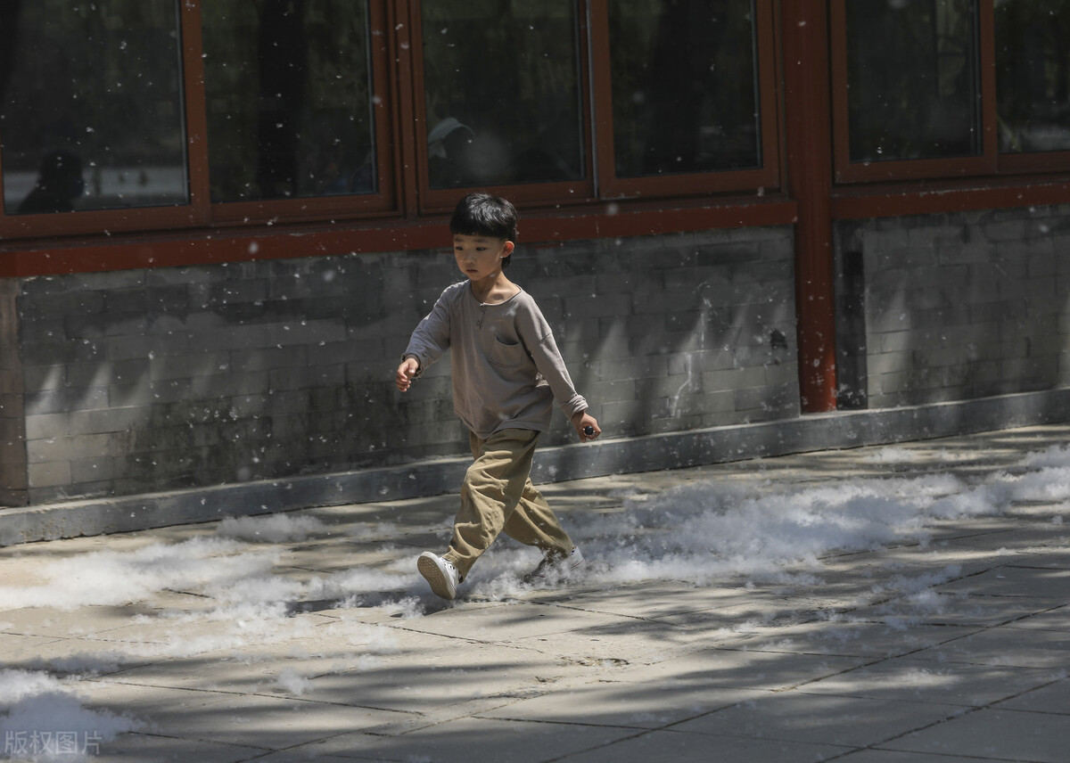 太极拳一步六拳教学,太极拳一招一式