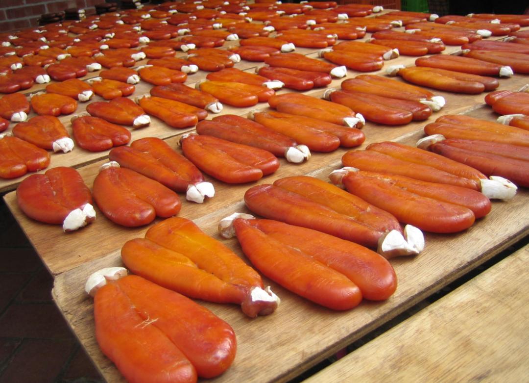 鱼的性腺好吃吗,鱼的生殖腺在哪儿