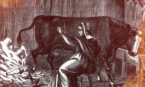 芝加哥学派的诞生背景和贡献,国内的芝加哥学派代表