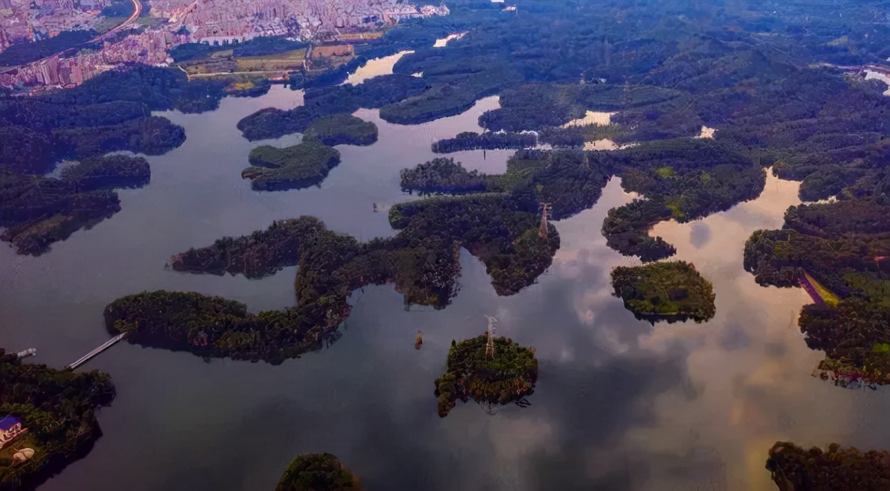 华为与龙华,霸气华为