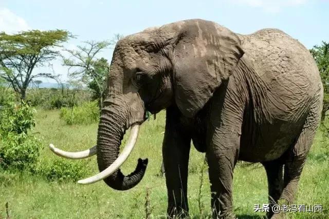 什么文玩不能碰手,这几样文玩千万不要碰