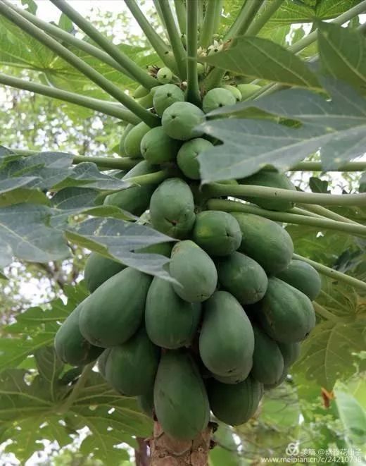 福建长汀最好玩的地方在哪里,福建长汀最好玩的地方在哪里呀