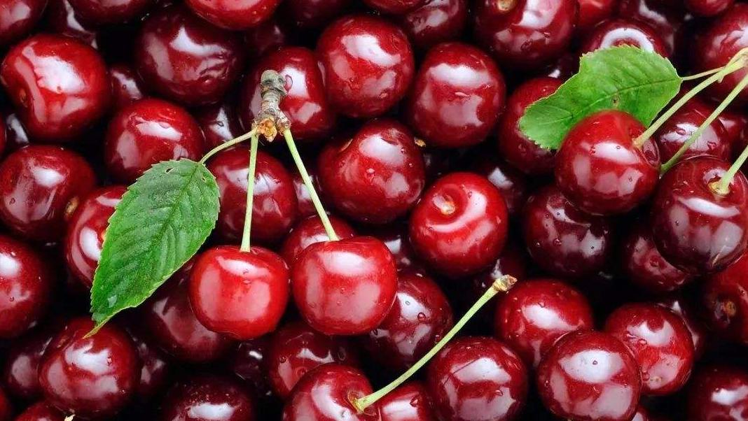 长寿之乡的秘密,牟平长寿之乡