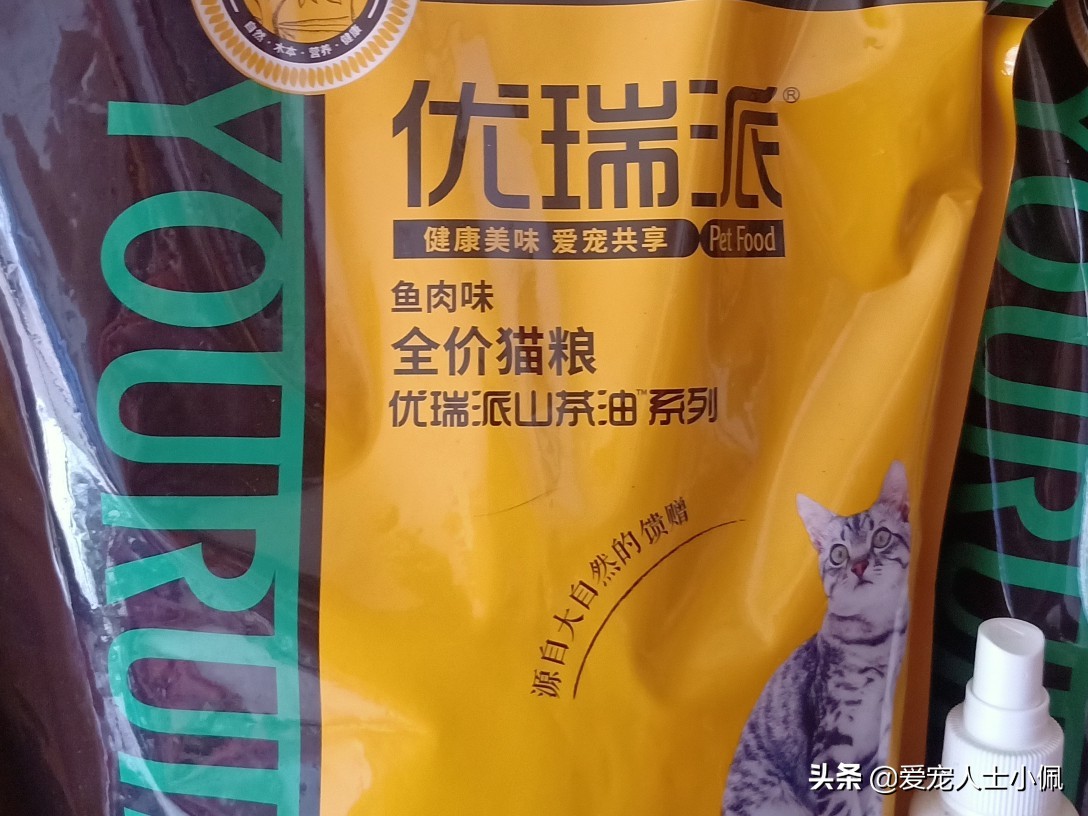 猫狗得了皮肤病怎么治疗,猫狗皮肤病怎么才算好