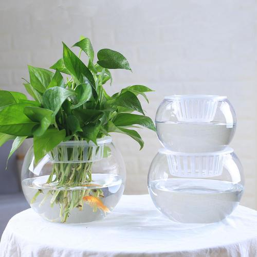 池塘养观赏鱼对水要经常怎么处理,养鱼不注意这几点对鱼伤害很大