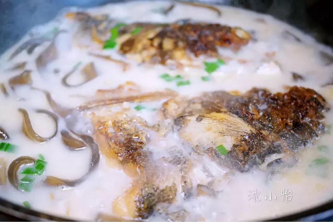 为啥做的鱼头汤的味道不太好喝呢,为什么自己煮的鱼头汤总是不白